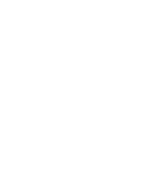 Mentoria ROTA